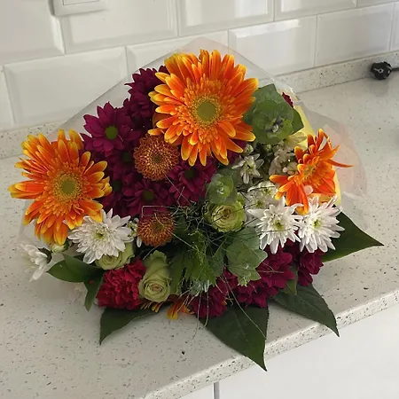 Casanossa Ubytování v soukromí