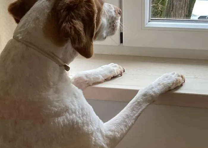 Ubytování v soukromí Casanossa *