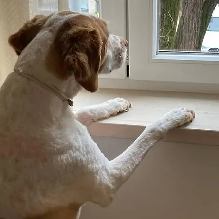 Rum i privatbostad Casanossa *