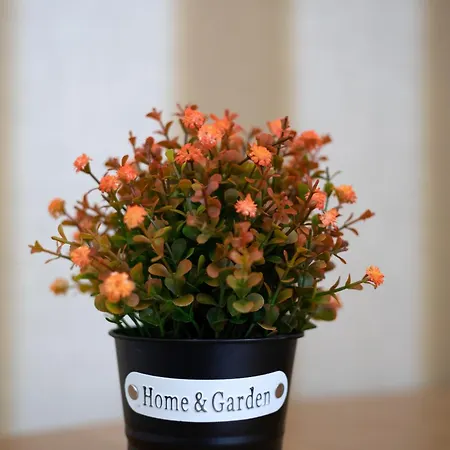 Rum i privatbostad Casanossa Setúbal